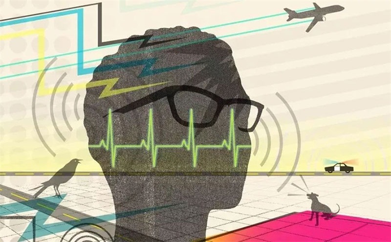 悲劇，聲學處理不好，噪音引發血案